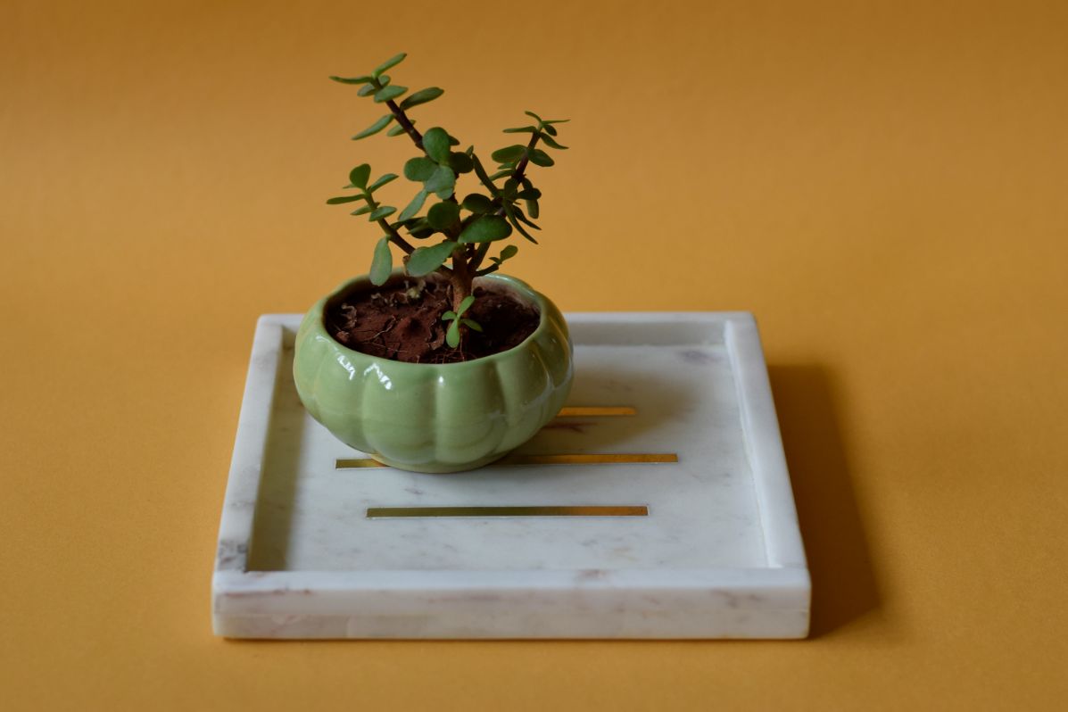 Marble Tray Square White/Brass