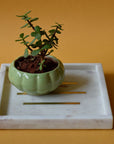 Marble Tray Square White/Brass
