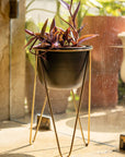 Planter Black Matte with Gold Tripod
