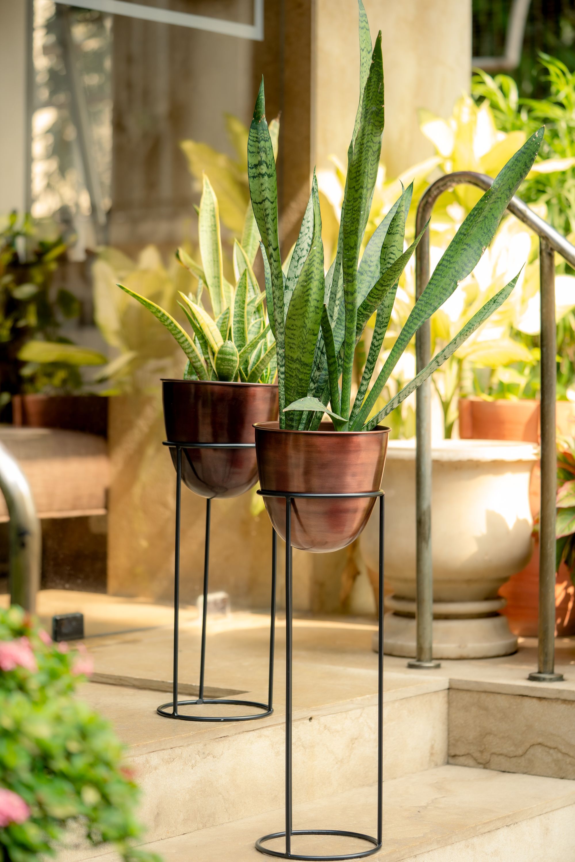 antique copper plant pots Planter Copper Antique with Black Stand