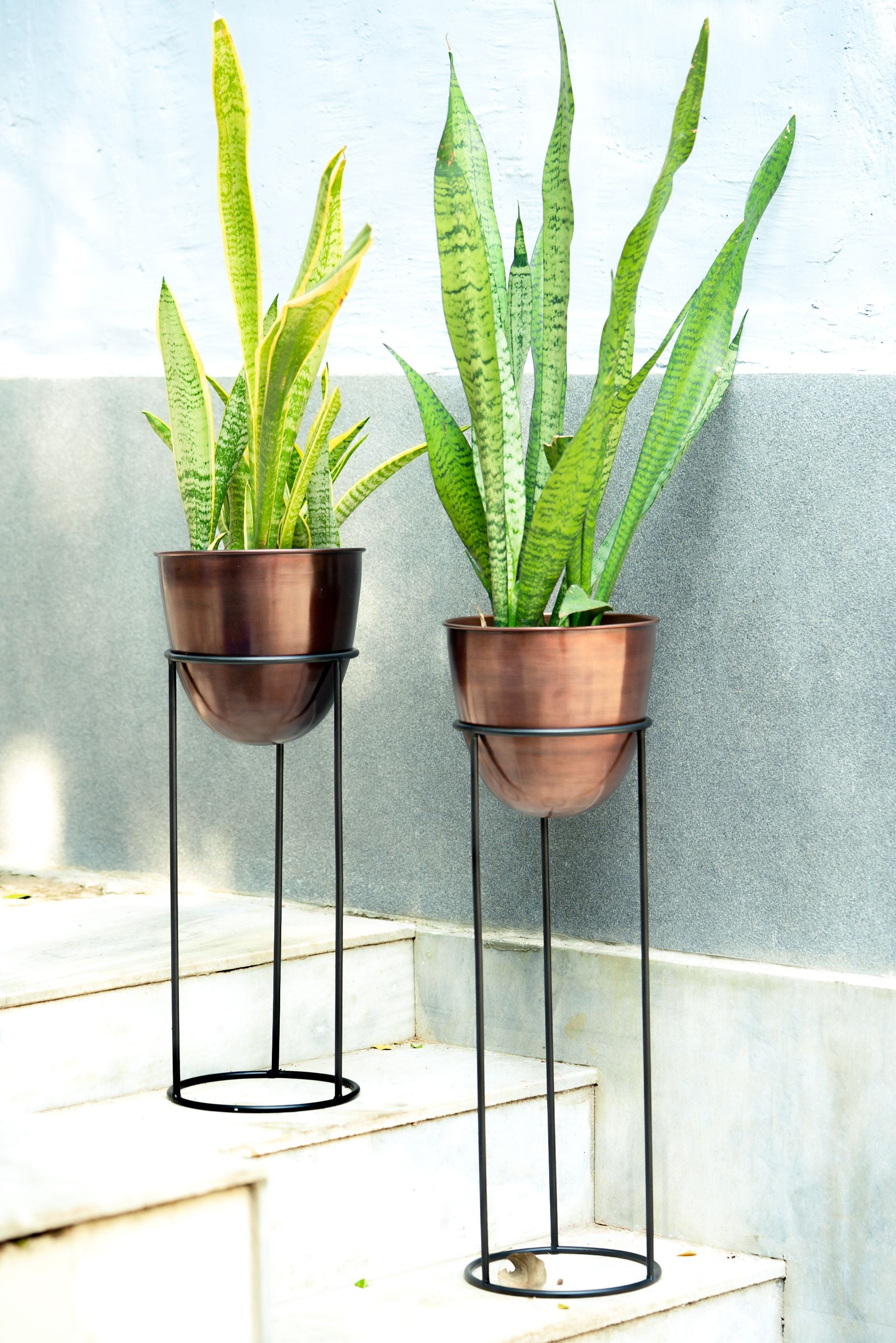 Planter Copper Antique with Black Stand