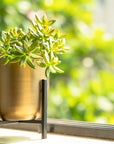 Planter Gold Antique with Black Stand