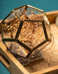 Prism Lantern - Hexagon